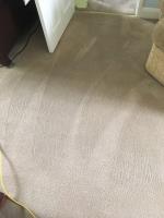 Trees Carpet Cleaning image 4